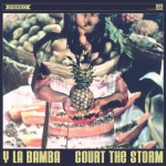 Court The Storm-529×529