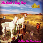 qaeb_followusoverboard_cover